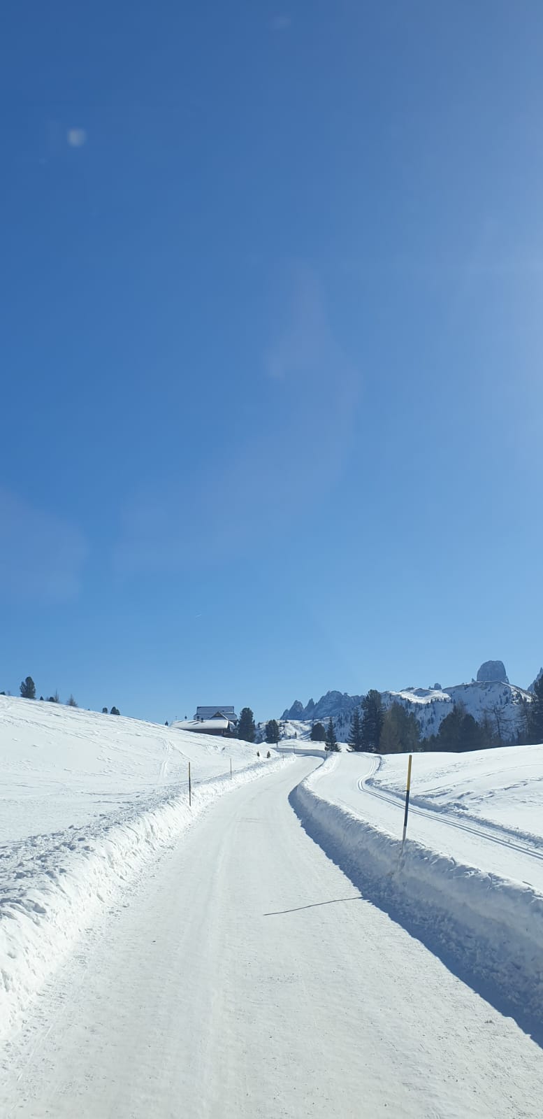 Milan Malpensa Airport